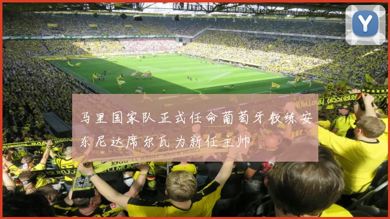 马里国家队正式任命葡萄牙教练安东尼达席尔瓦为新任主帅